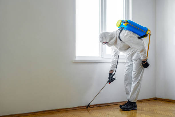 Best Termite Inspection and Treatment  in Camp Hill, PA